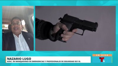 ¿Existe una ley para regular la contratación de guardias de seguridad en Puerto Rico?