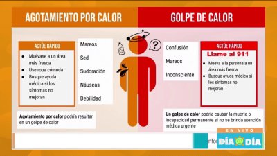 Ola de calor: consejos para evitar incidentes