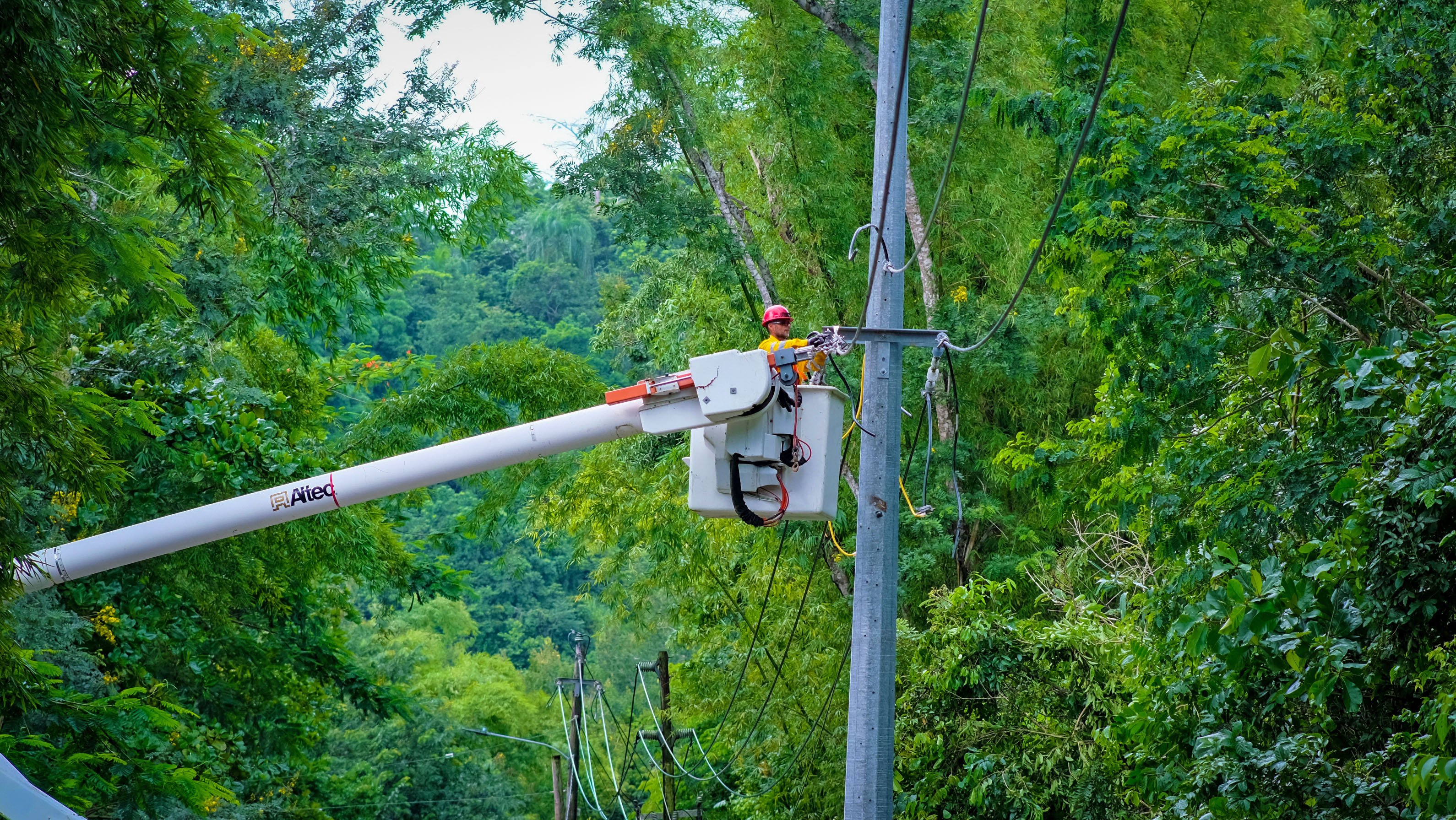 Miles de clientes de LUMA se quedan sin luz
