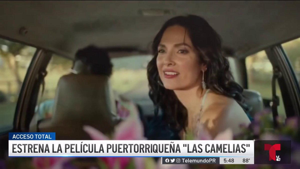 Estrena la película puertorriqueña “Las Camelias” – Telemundo Puerto Rico