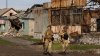 En un revés para Rusia, las tropas invasoras se retiran de una ciudad clave en Ucrania