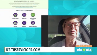 ICF lanza plataforma para mejorar acceso a información sobre estatus de casos