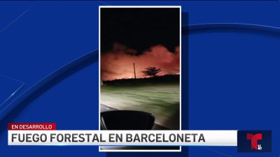 Fuego en forestal en Barceloneta