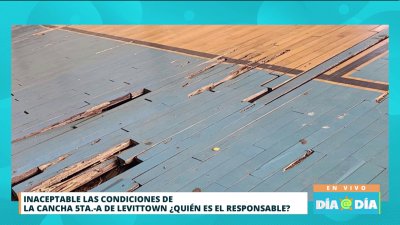 Denuncian pésimas condiciones en cancha de Levittown
