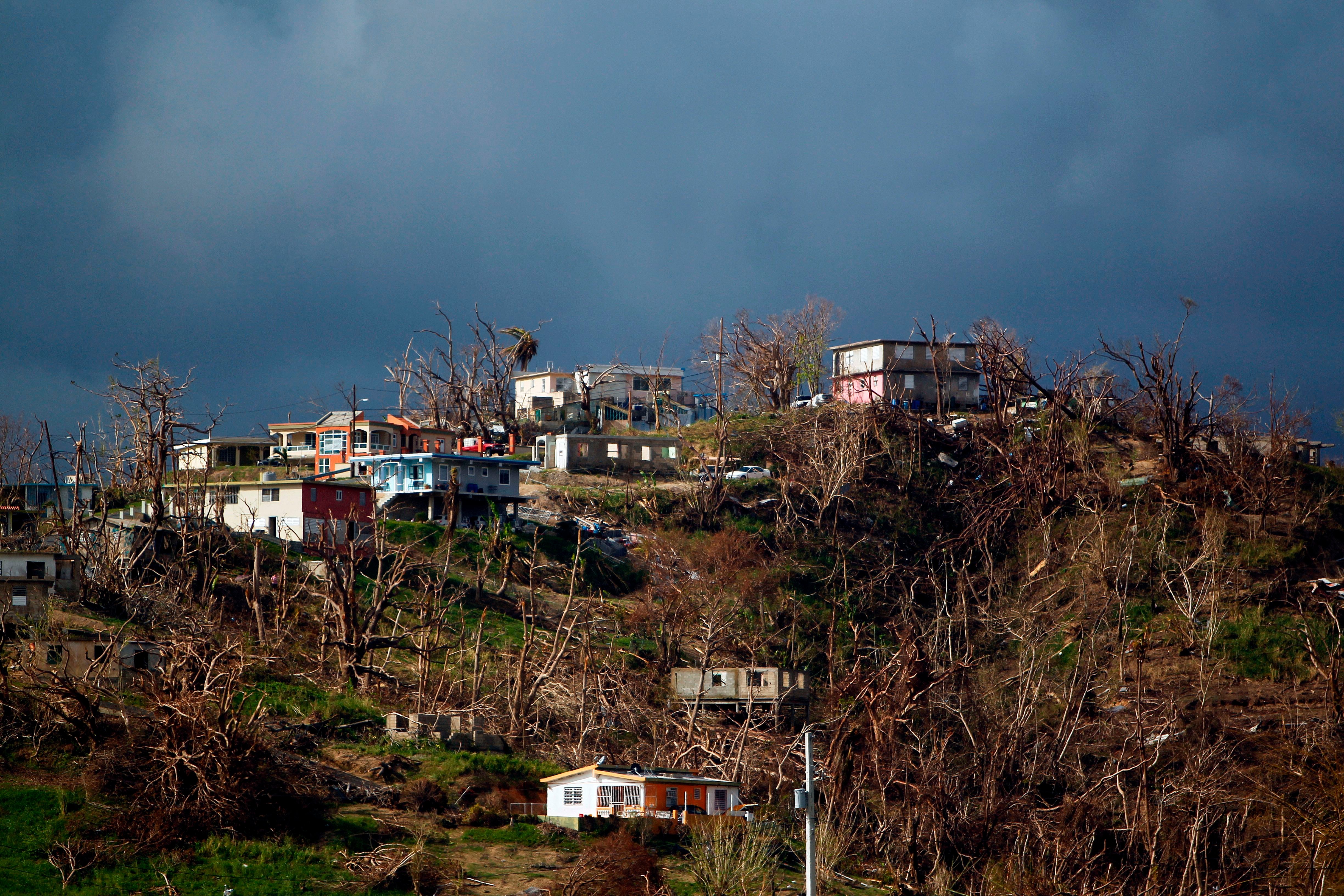 Imagen del artículo de Telemundo PR: Presentan medidas para mejorar preparación y respuesta ante desastres en Puerto Rico
