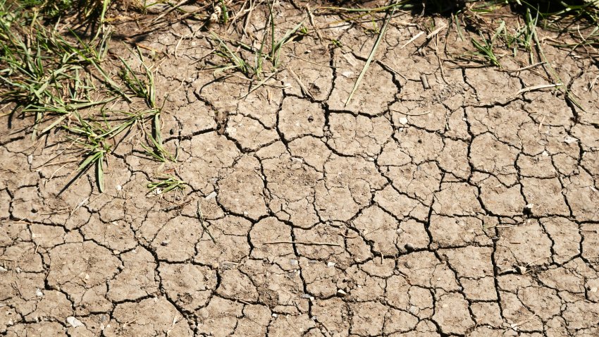 Dry and cracked earth floor with some green herbs. Photograph taken in summer in Evian-Les-Bains, Haute-Savoie, France. Light and natural colors.