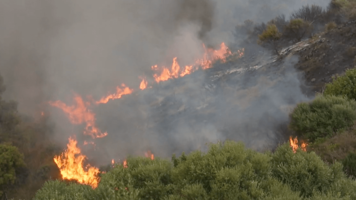 Incendios forestales dejan al menos 34 personas muertas en Argelia
