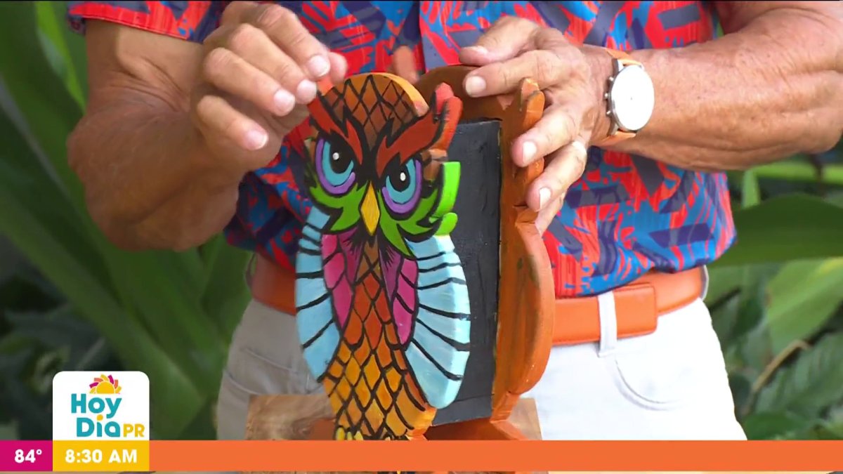 Cómo hacer un búho en madera – Telemundo Puerto Rico