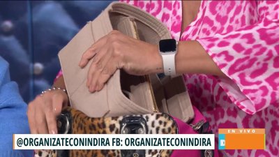 Cómo mantener tu cartera organizada