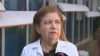 Presidente de la UPR solicita la renuncia a la rectora de Ciencias Médicas