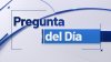 Vota en la pregunta del día