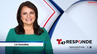 T47_LizGonzalez_ WebProfile