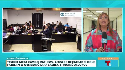 Bartender testifica en vista en alzada contra acusado de provocar muerte de Lara Camila