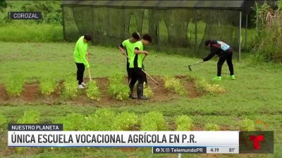 Corozal cuenta con la única escuela vocacional agrícola en Puerto Rico