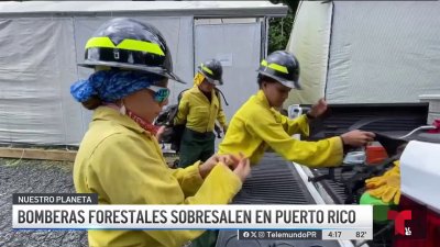 Conoce a las bomberas forestales que entrenan en El Yunque