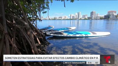 Someten estrategias para mitigar efectos del cambio climático en Puerto Rico