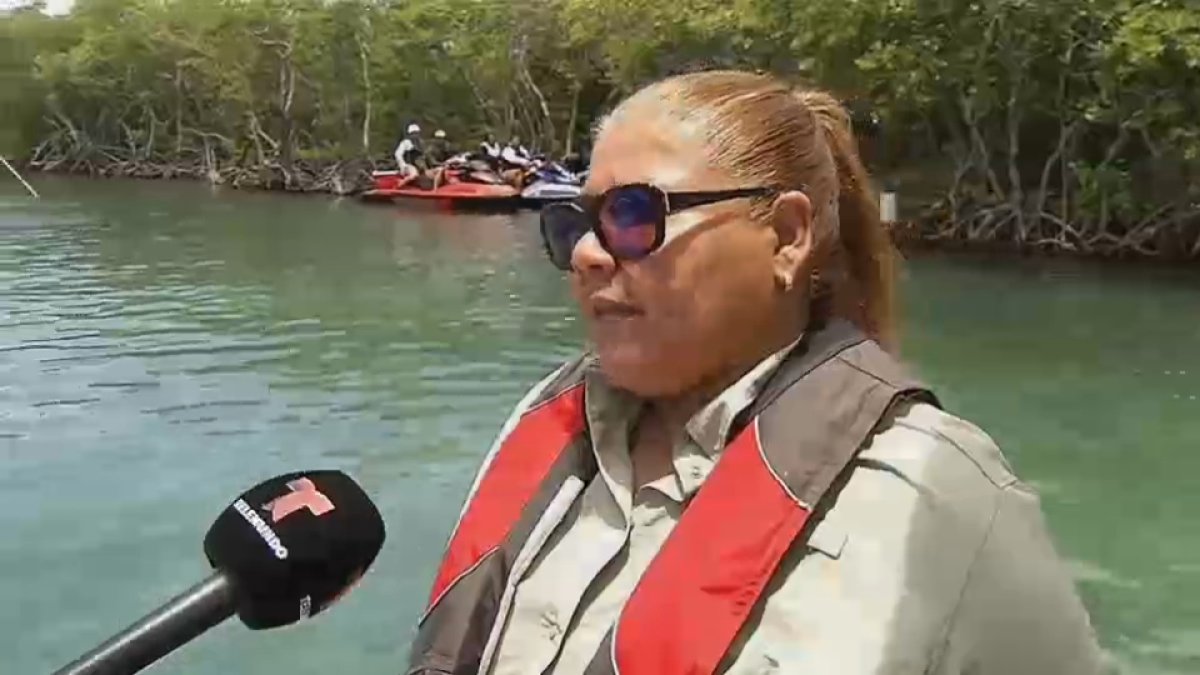 Renuncia la comisionada del Cuerpo de Vigilantes del DRNA – Telemundo ...