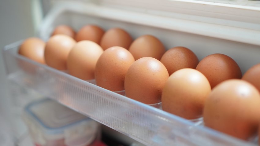 Chicken eggs in the refrigerator panel