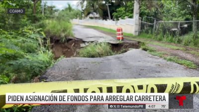 Aguaceros e iguanas provocan colapso de carretera en Coamo