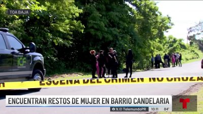 Hallan restos de mujer en Toa Baja tras sujeto confesar asesinato