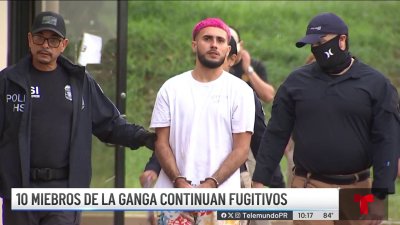 Arrestan a “Ñañito” y otros miembros de peligrosa ganga en Ponce