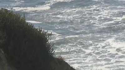 Encuentran pierna humana en orillas de una playa