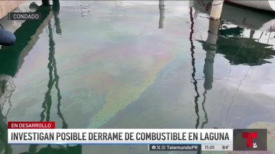 Investigan origen de sustancia derramada en la Laguna del Condado