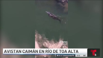 Advierten a pescadores por presencia de caimanes en los ríos