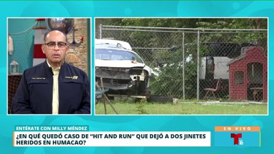 Policía tiene “mucha prueba” del hit and run con jinetes en Humacao