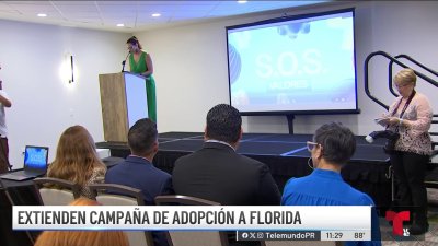 Extienden a Florida la campaña “Adopta ahora”