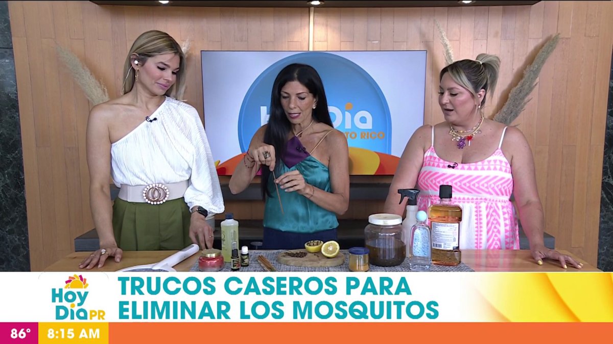 Truquitos caseros: prepara repelentes de mosquitos – Telemundo Puerto Rico