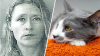 Mujer enfrenta 120 cargos tras hallar en su casa gatos en estado deplorable   
