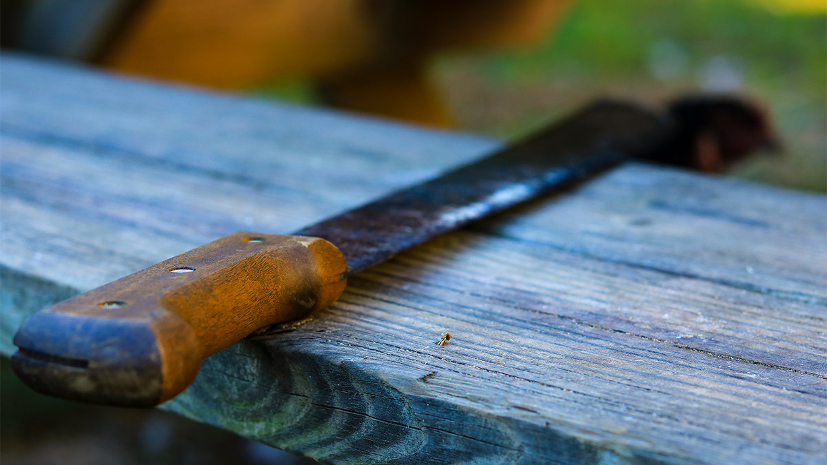 Imagen de la cobertura de: Discusión vecinal en Barranquitas deja a un sexagenario herido con machete