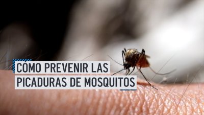 Cómo prevenir las picaduras de mosquitos