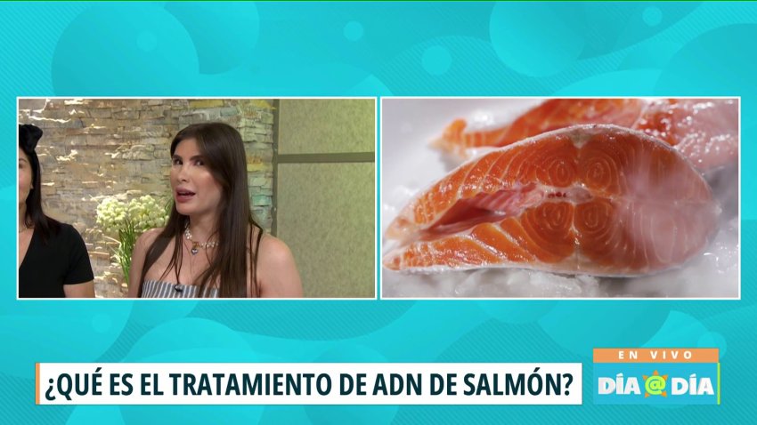 ¿Qué es el tratamiento de ADN de salmón