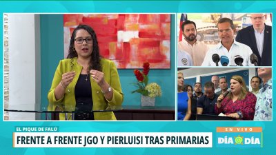 Aspirante al Senado por el PPD dice que JGo no fiscalizó a LUMA