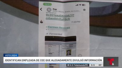 Empleada de la CEE podría exponerse a cárcel por filtrar información confidencial