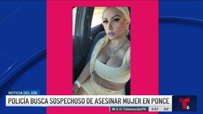 Hermanas habrían presenciado el asesinato de su madre en Ponce