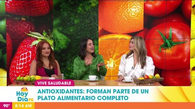 ¿Cuáles alimentos son ricos en antioxidantes?