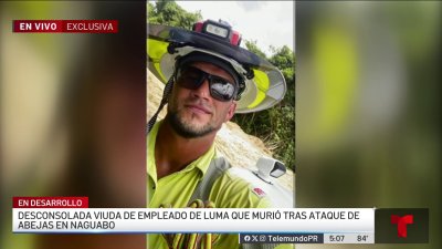 Desconsuelo en Naranjito: hijo de exalcalde muere tras ataque de abejas