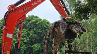 Un criadero sacrifica 125 cocodrilos debido a las inundaciones en Tailandia