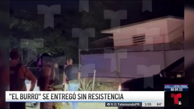 ¡Atrapado! Sacan de su escondite a peligroso criminal “El Burro”