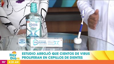 Virus en los cepillos de dientes: lo que debes saber