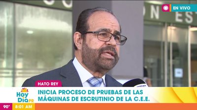 Atrasada la CEE con el conteo de papeletas del voto adelantado y por correo