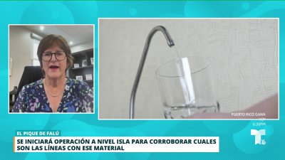 Presidenta de la AAA: “Nuestra agua es segura”