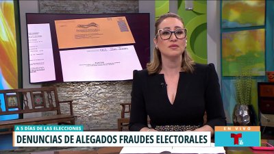 Resumen: las denuncias de irregularidades en el proceso electoral