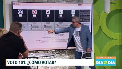 Paso a paso: conoce las distintas maneras de votar