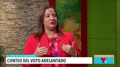 Karla Angleró: “presidenta de la CEE tiene que quitarse el sombrero de quien la nombró”