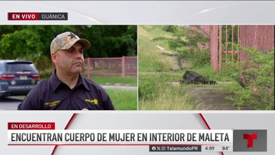 Identifican a mujer dejada muerta dentro de un bulto frente a escuela