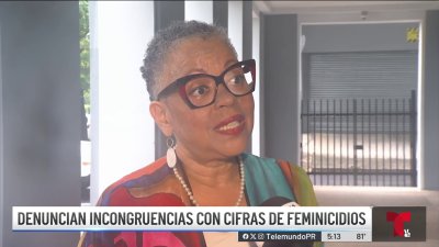 Denuncian incongruencias en números de feminicidios